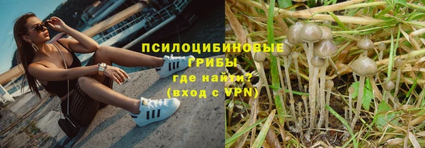 гидропоника Куйбышев