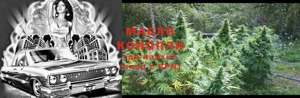 амф Козельск