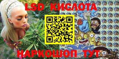 ПСИЛОЦИБИНОВЫЕ ГРИБЫ Коммунар