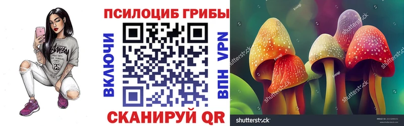 дарк нет телеграм  где продают наркотики  Краснокаменск  Псилоцибиновые грибы Magic Shrooms 