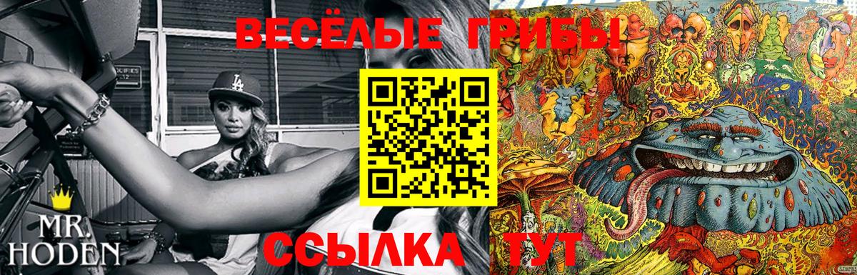 Краснокаменск  Галлюциногенные грибы MAGIC MUSHROOMS  Псилоцибиновые грибы Cubensis  Вход с VPN 